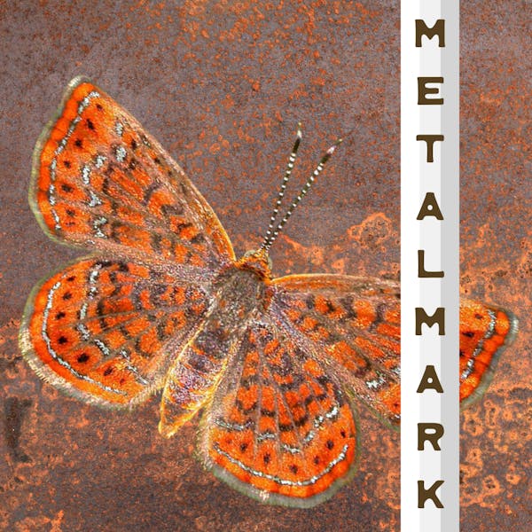 M e t a l m a r k M e t a l m a r k