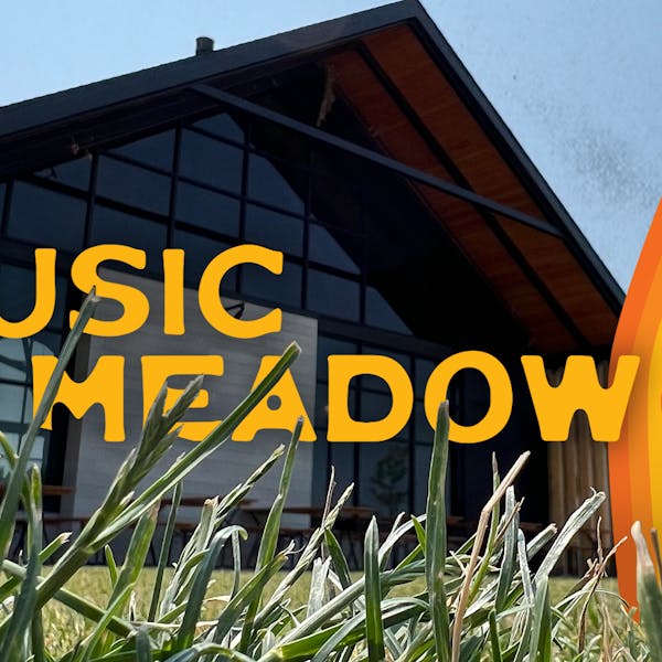MUSIC in the MEADOW – Acoustic Endorphins