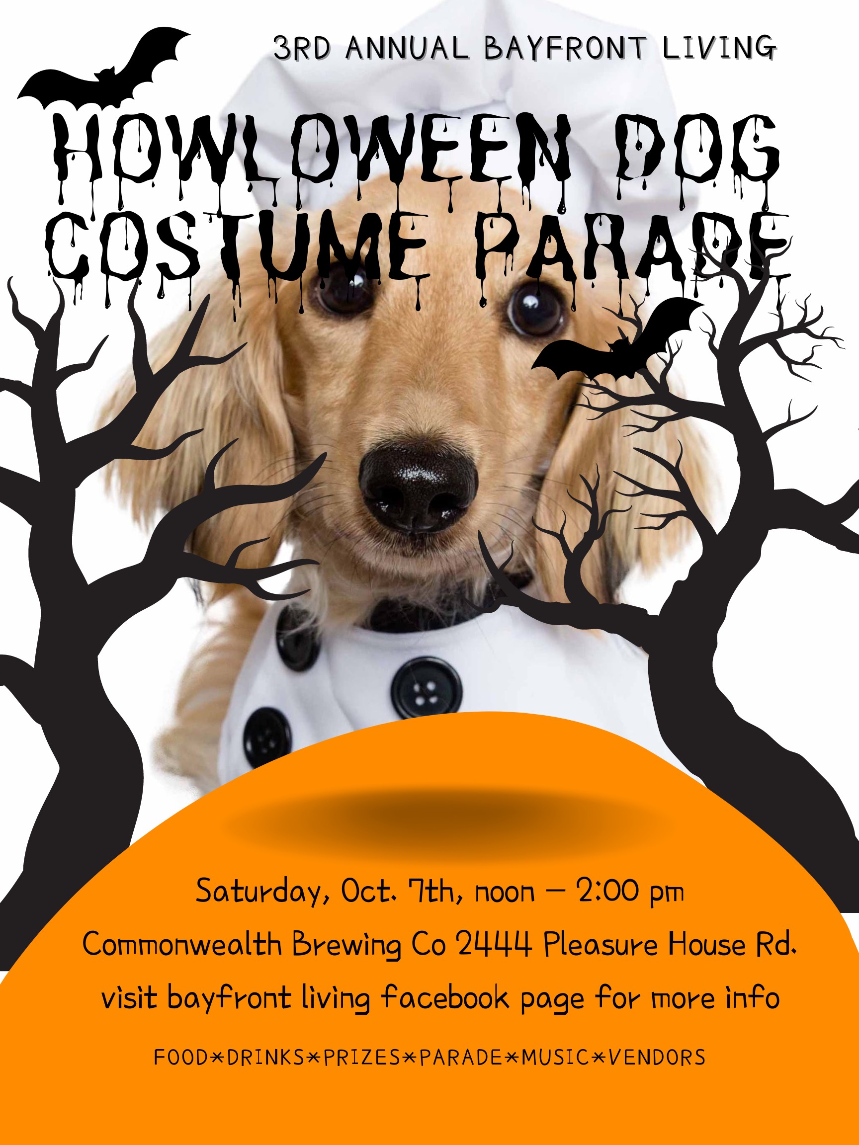 Bayfront Living Dog Halloween Costume Parade