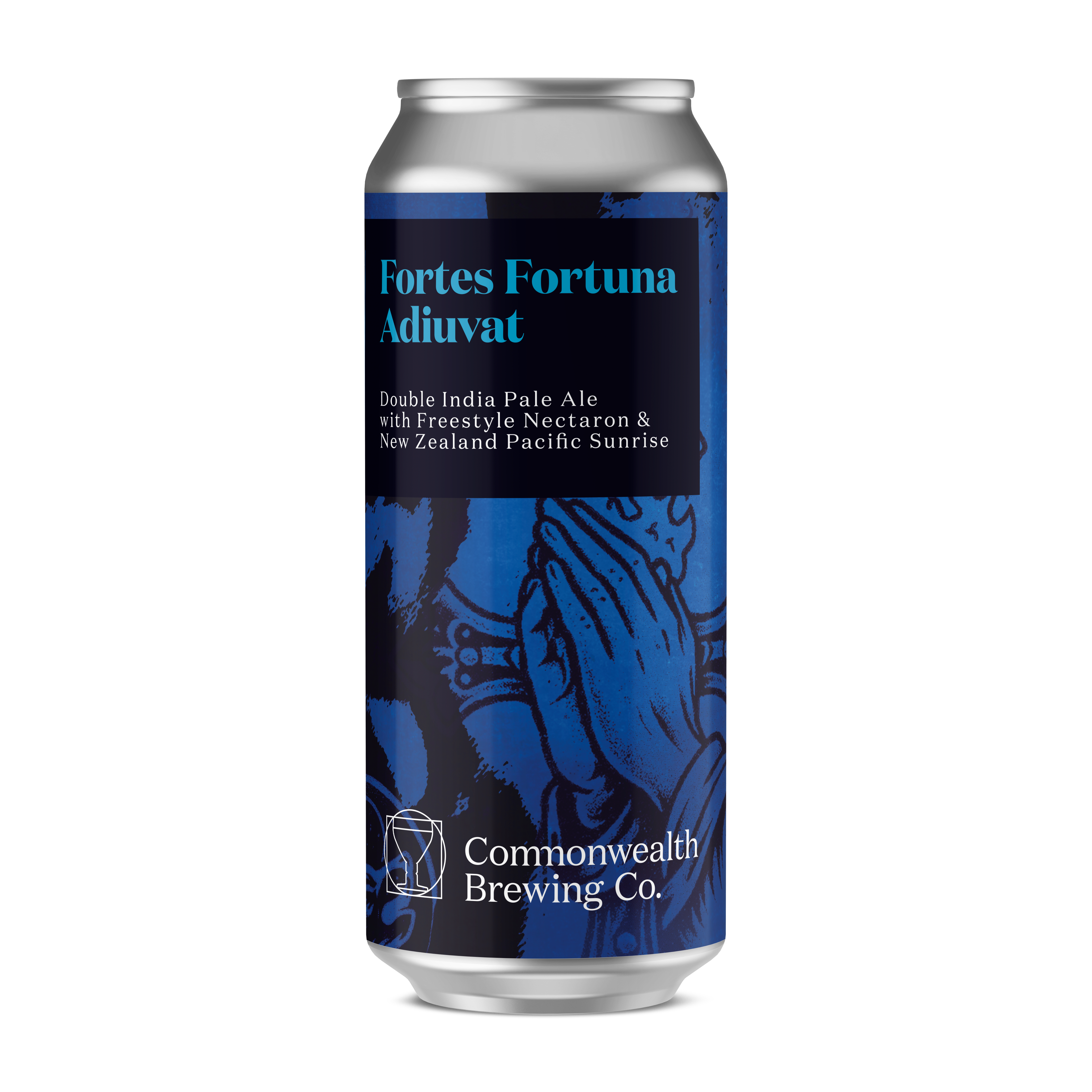 Image or graphic for Fortes Fortuna Adiuvat