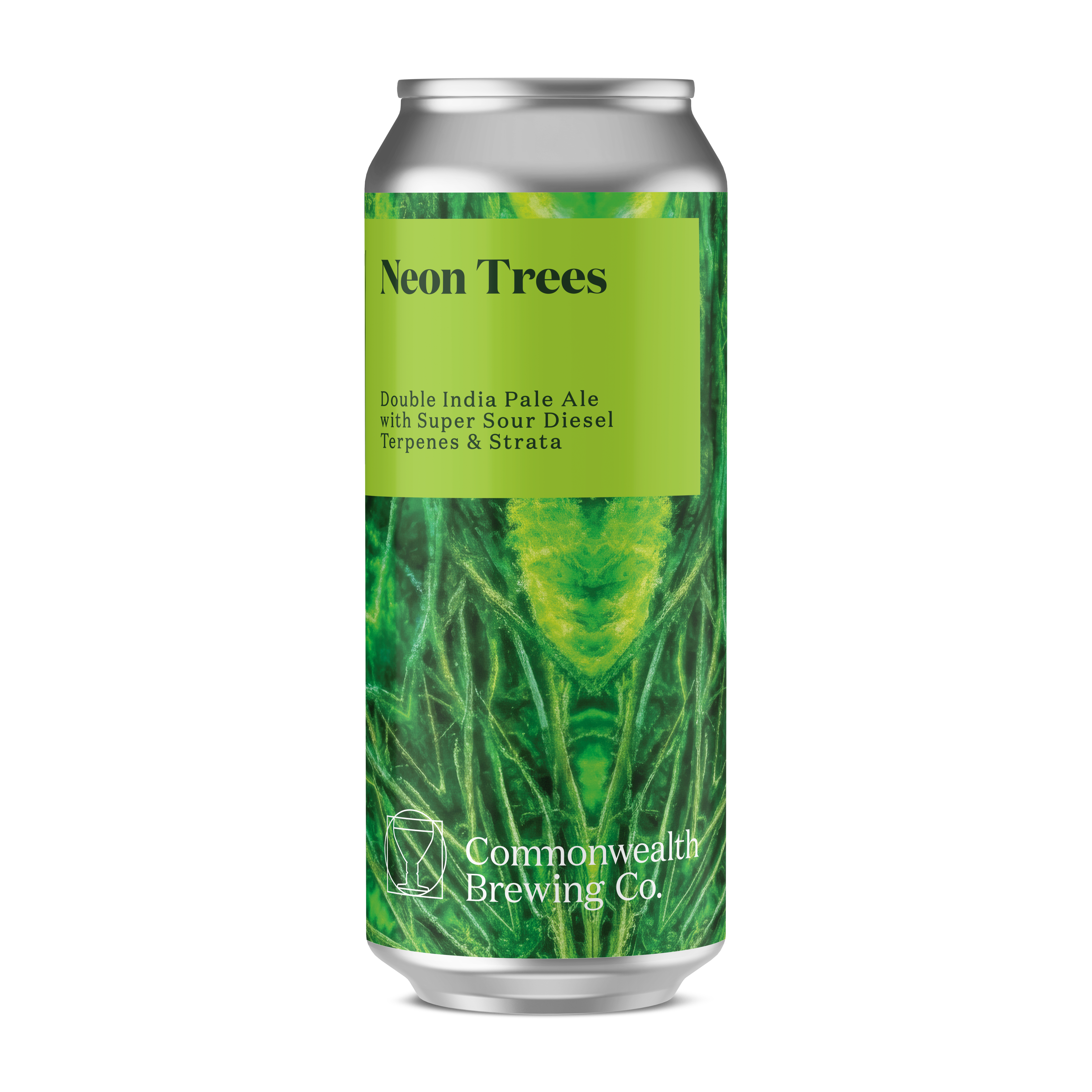 Commonwealth_Neon Trees_Can