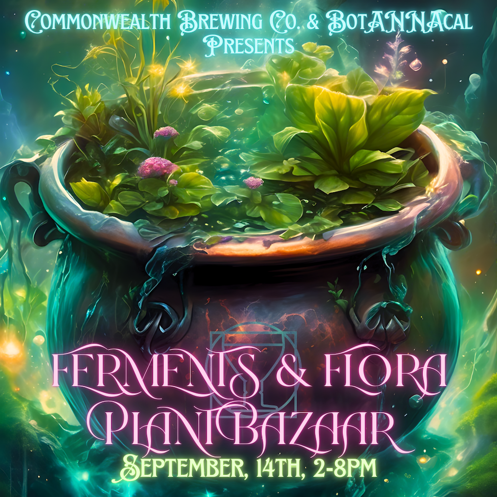 Ferments & Flora Plant Bazaar