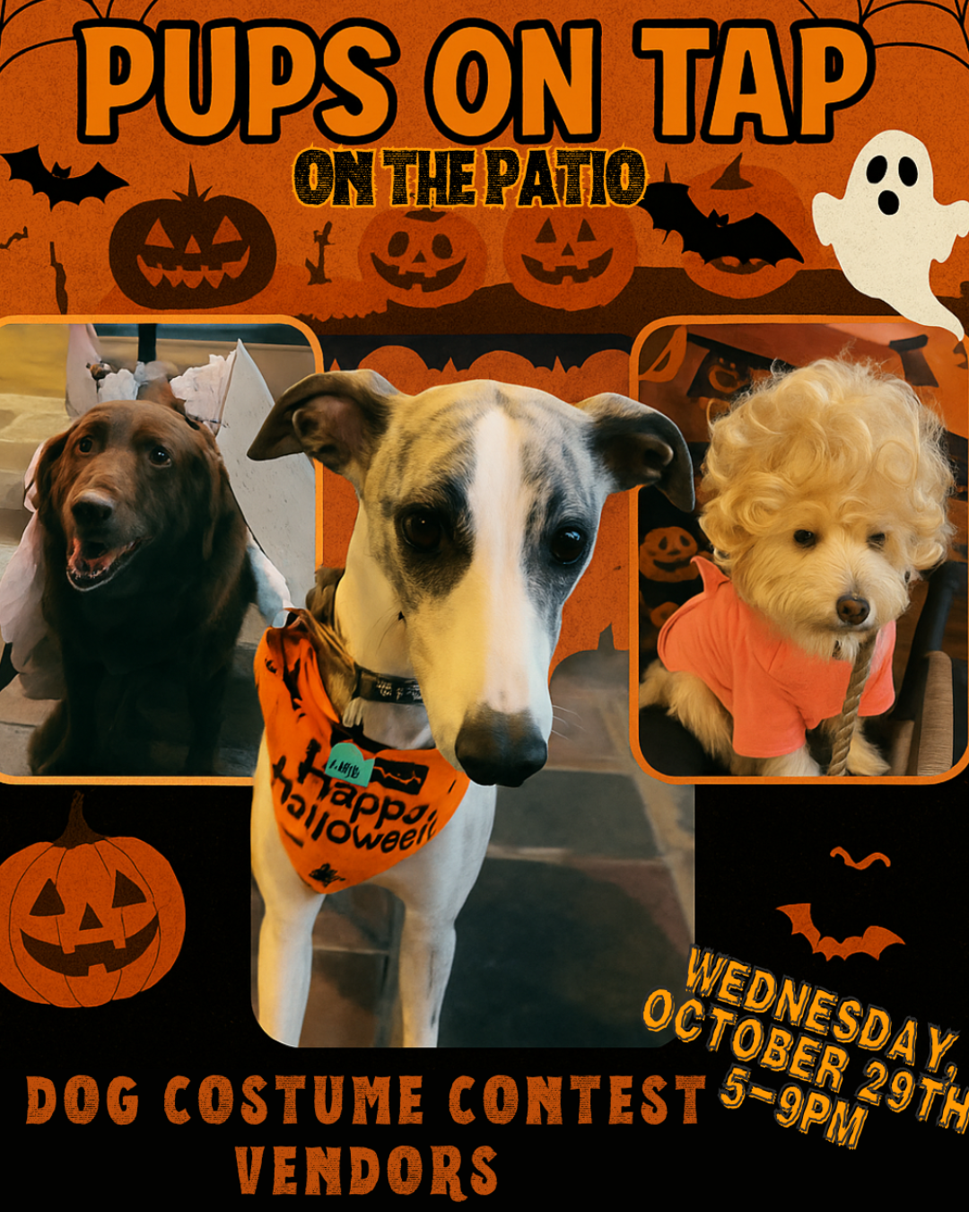 Halloween Pups on Tap – Fairfax