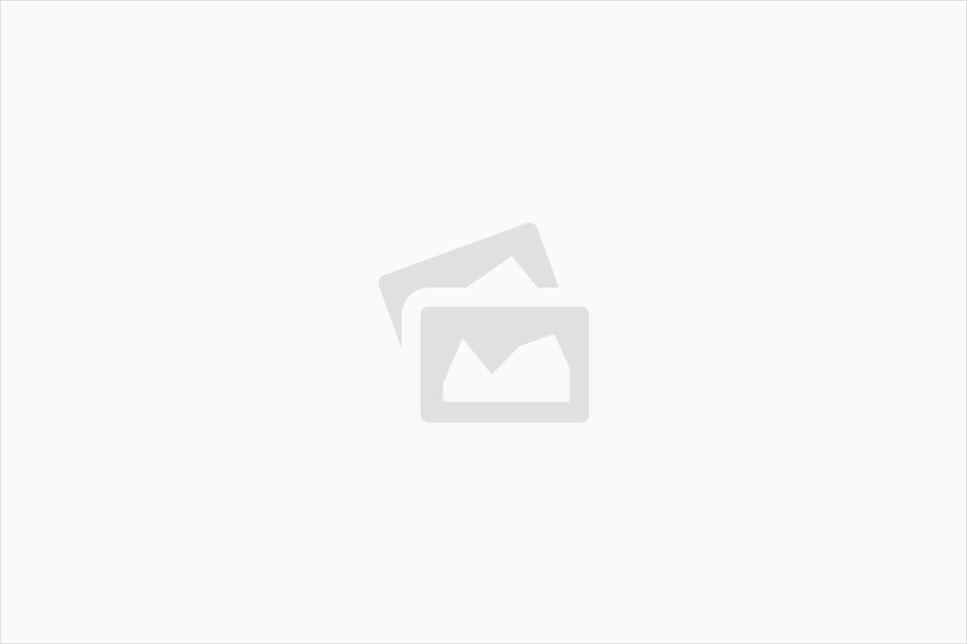 WF-image-rectangle-h-light WF-image-rectangle-h-light