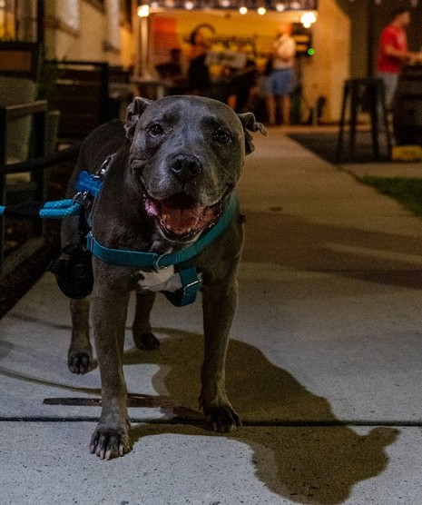 6 Instagram & Facebook Hacks for Breweries (That Don’t Cost a Thing)