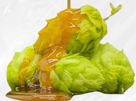 The Benefits of Hop Extracts And How To Use Them In The Brewing Process