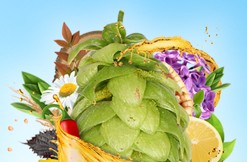 Noble Vibes. Local Roots. The Perfect Pairing for Your Lager Tank.