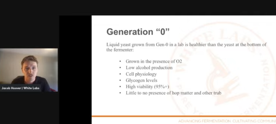 Liquid Yeast: Getting the Best Value for Your Money