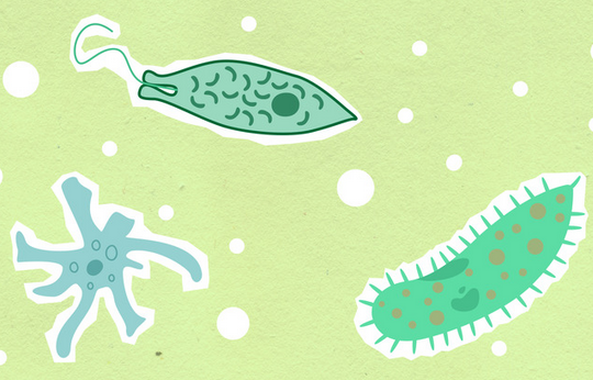 Three Microbes that will F$%& Your Beer Up!!!