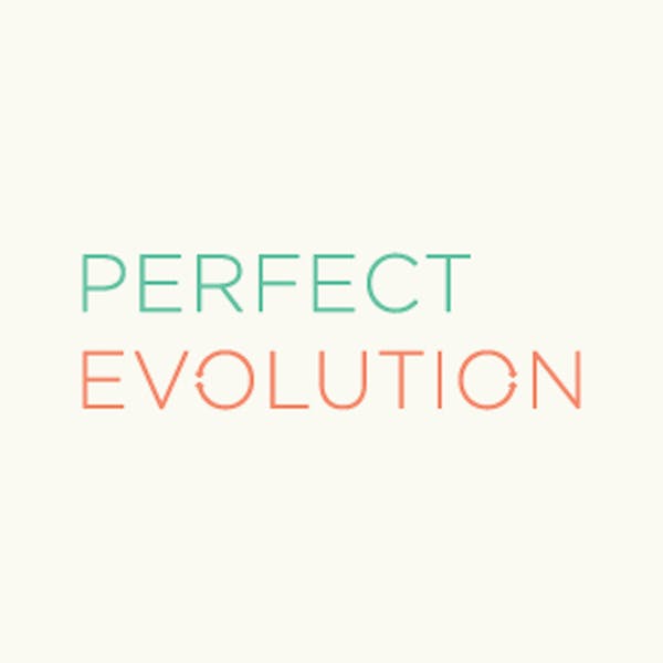 Perfect Evolution logo Perfect Evolution logo