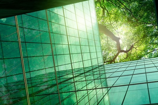 Lessons Learned from a Technical Assistant