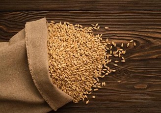 Exploring English Malts: Tradition, Innovation, and Brewing Impact