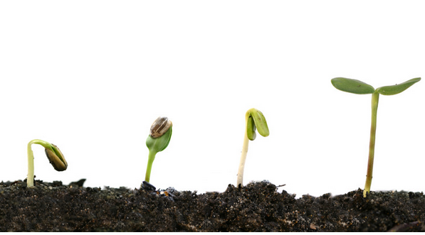 Beer – People – Purpose: The Evolution of the Virginia Beer Company