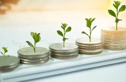 Creating and Funding Growth in a Challenging Market