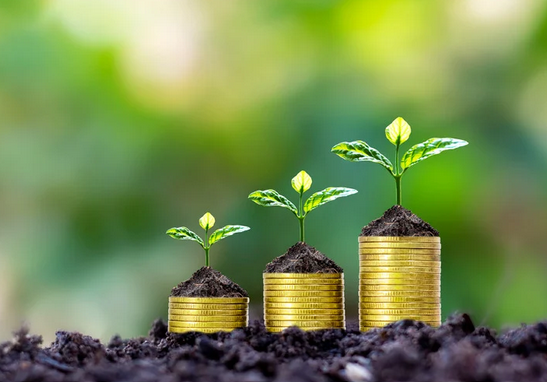 FU** Your Brewery: How Lady Justice Brewing Funded Their New Space