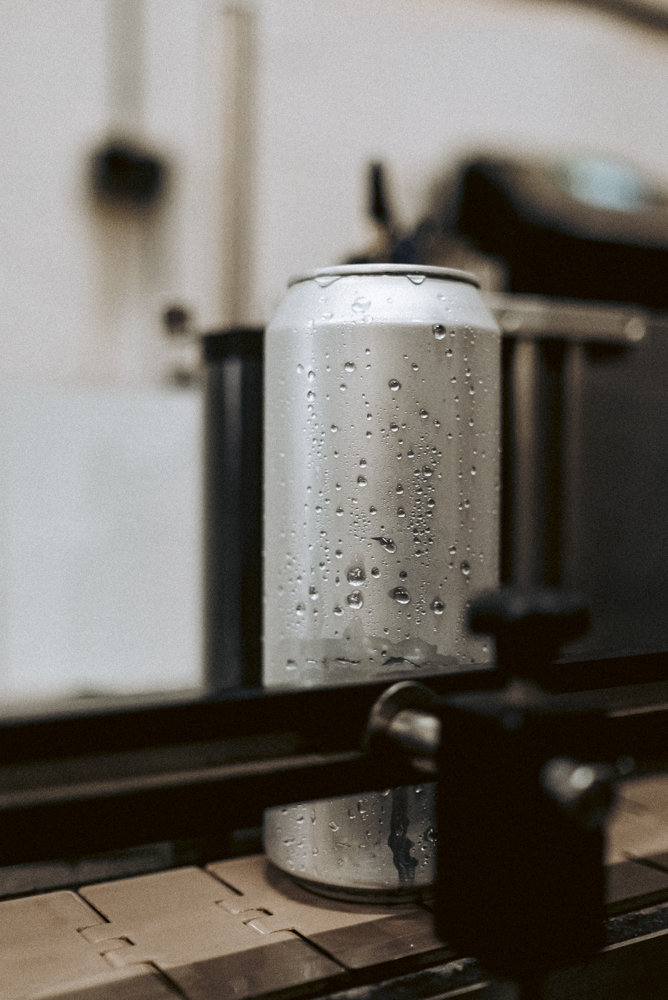 A DAY IN THE LIFE OF A MALTSTER