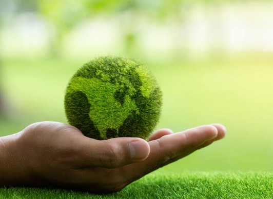 Bench Brewing’s Sustainability Journey