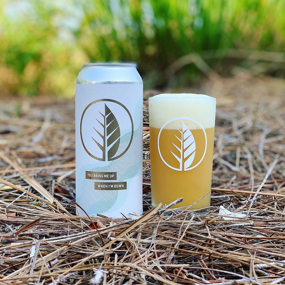 Deciduous Comes To Boston’s SoWa on 7/28!