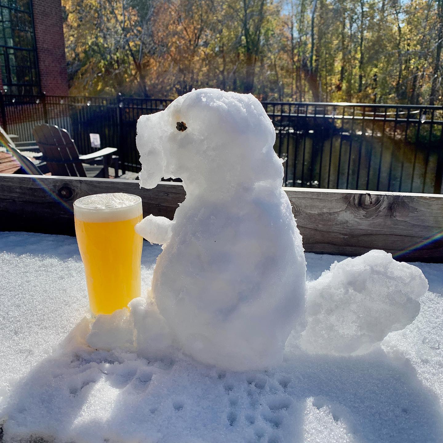 Apponaug_Snow_Beaver