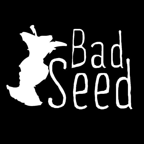 Bad Seed Cider Company