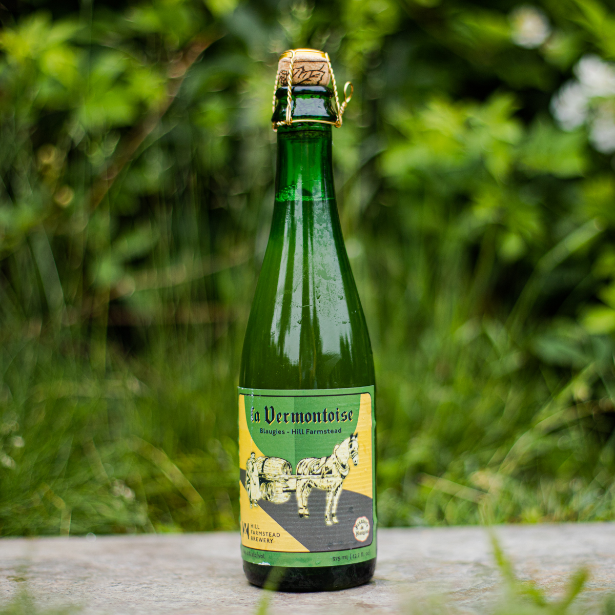 Blaugies_La_Vermontoise