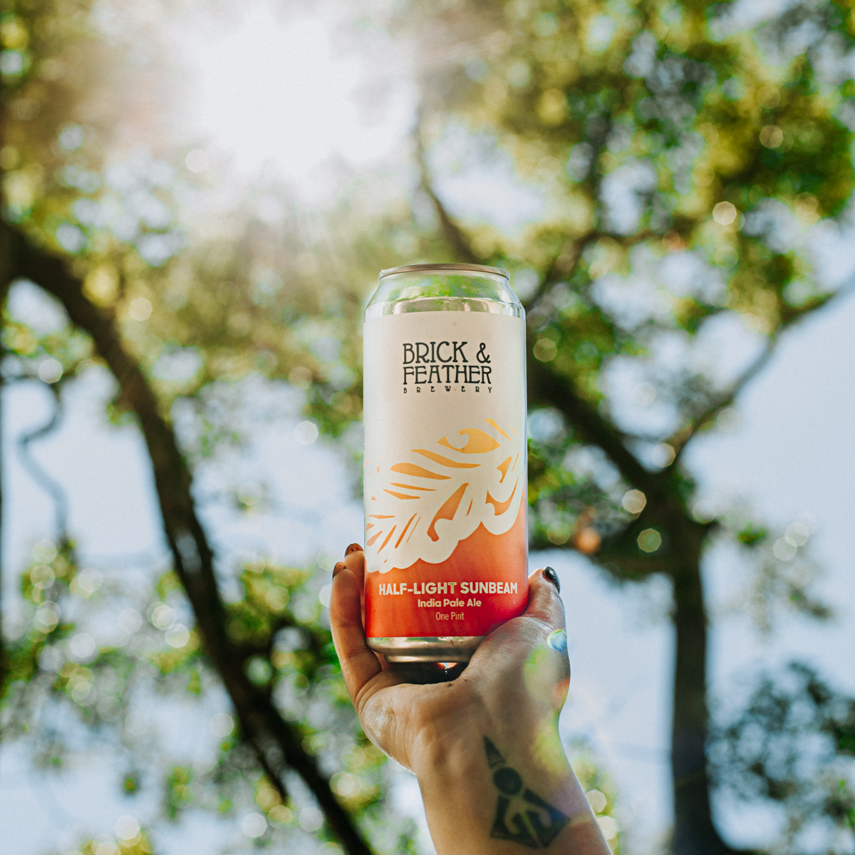 Brick_&_Feather_Half-Light_Sunbeam_square_1