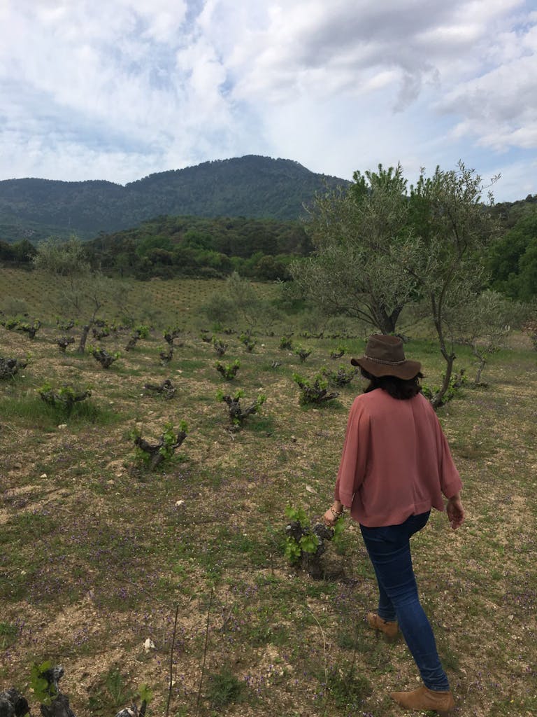 FincaFuentegalana