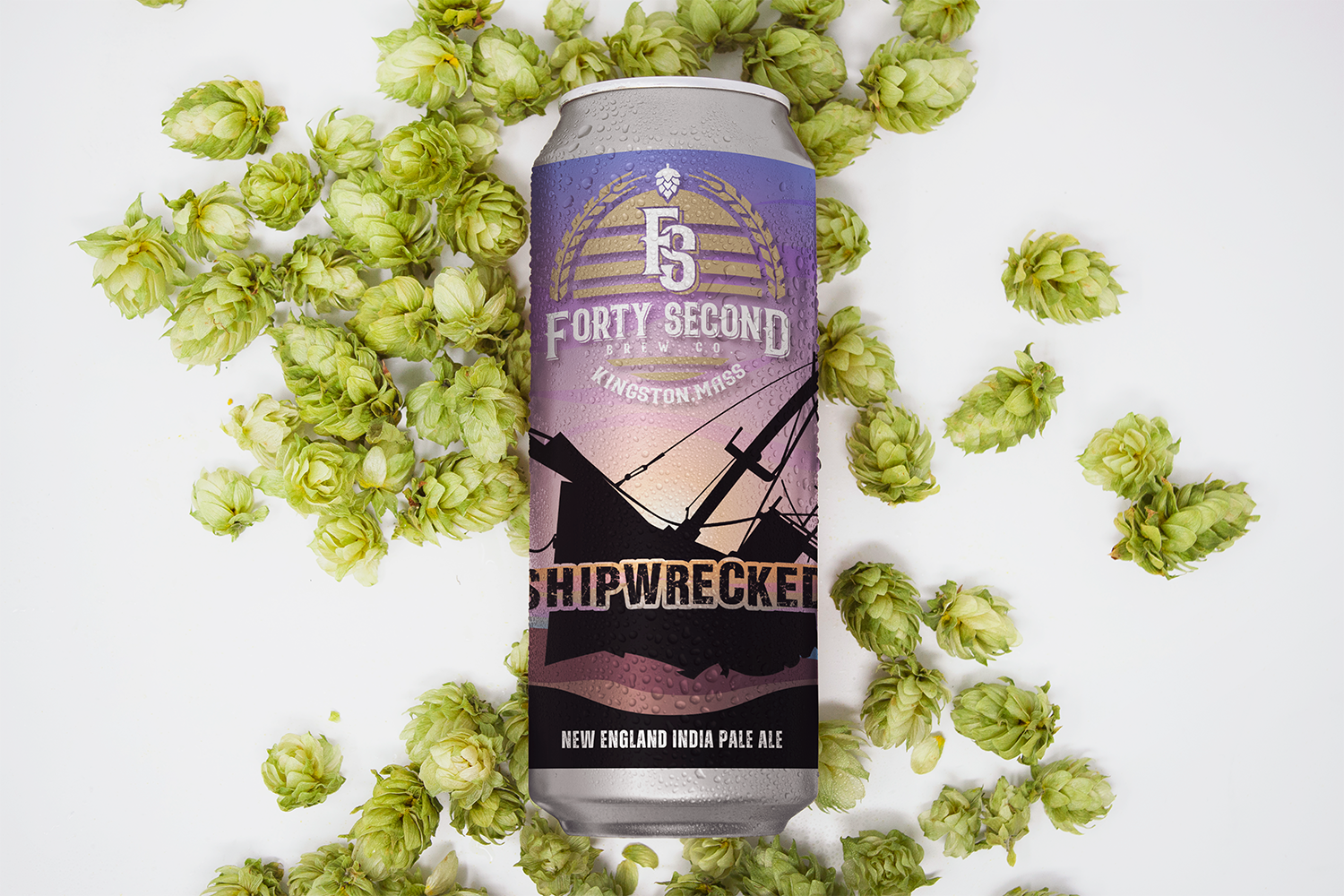 Forty Second Shipwrecked