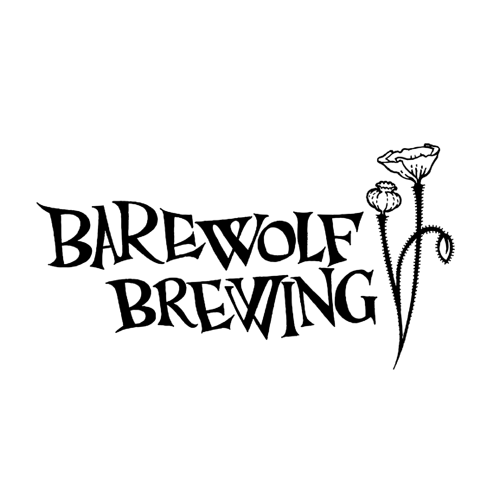 Barewolf Brewing