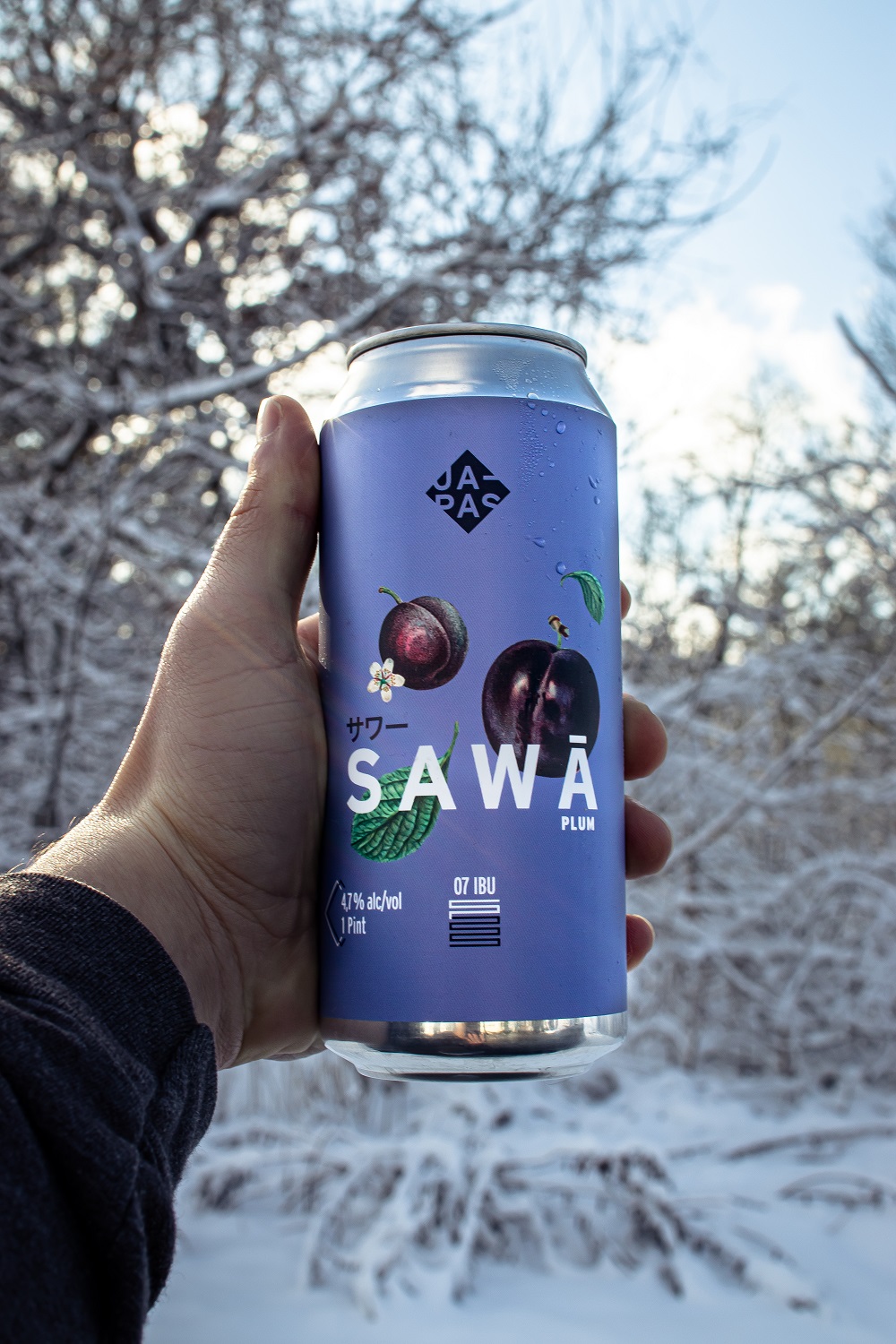 New Year, New Japas Juice