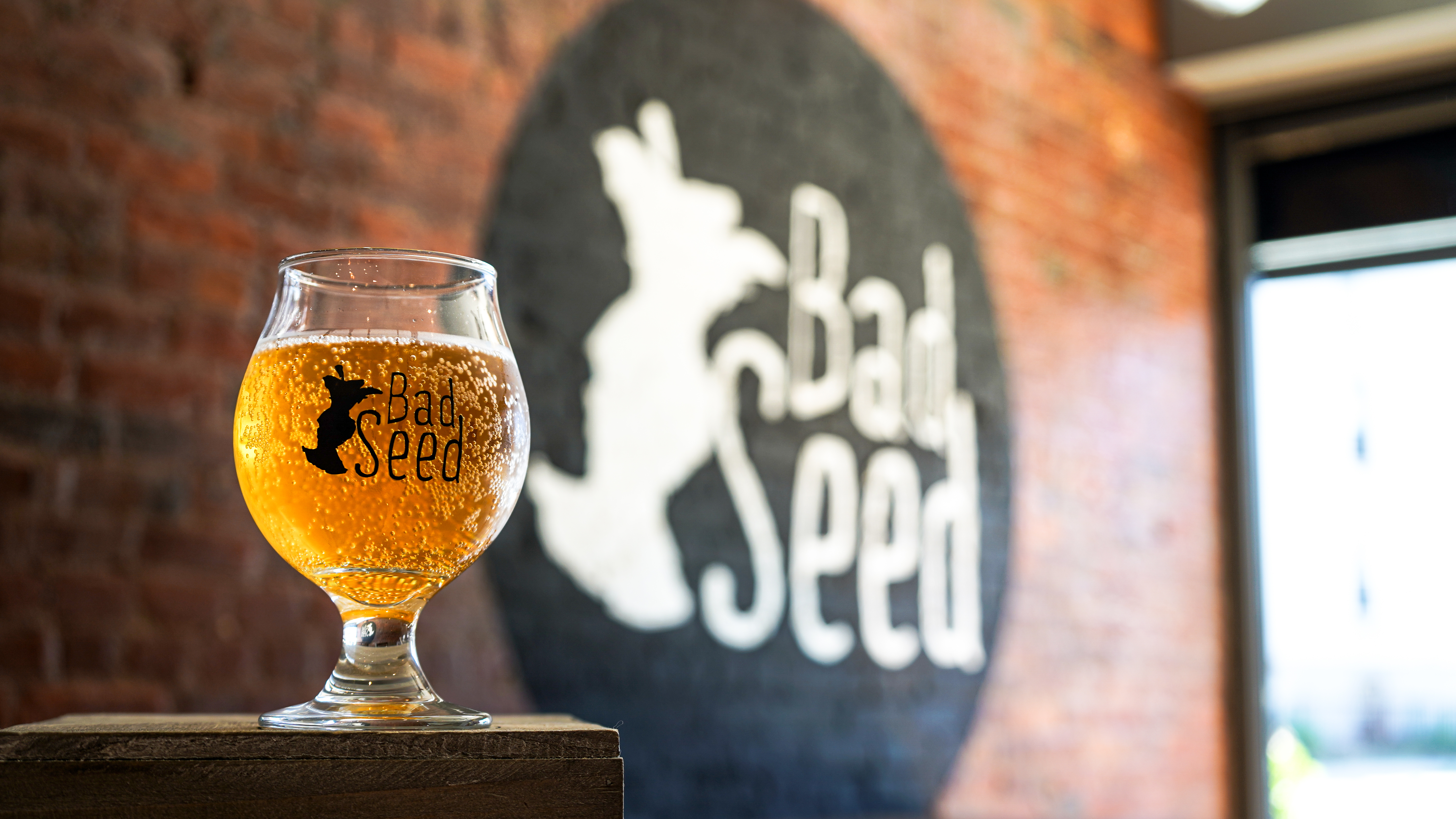 Now Available in MA: Bad Seed Dry Hard Cider | Craft Collective