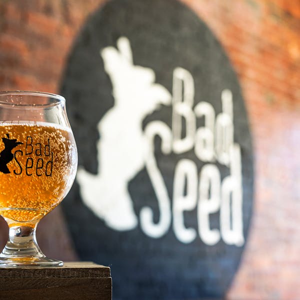 Now Available in MA: Bad Seed Dry Hard Cider
