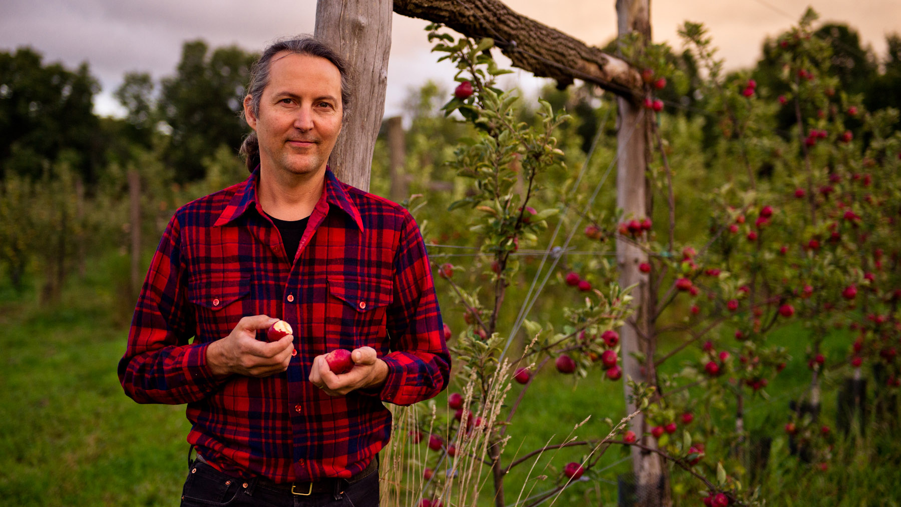 Steve South Hill Cider