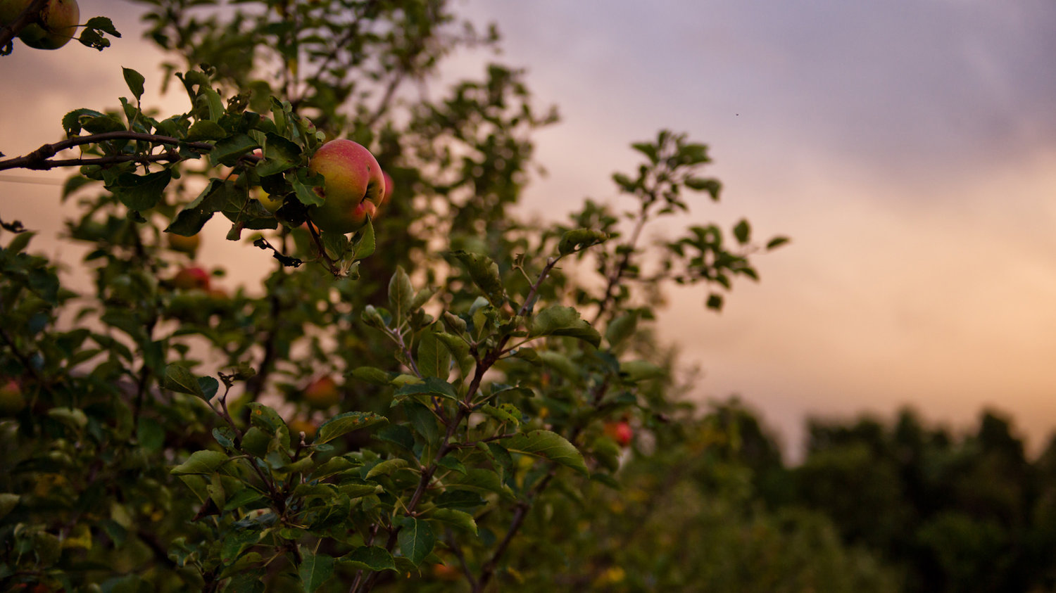 SHCEGabStro72019043_resized