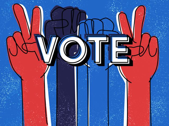 In the (ware)house: Limited Quantities of Faves + Newbies + Election Day Schedule Changes