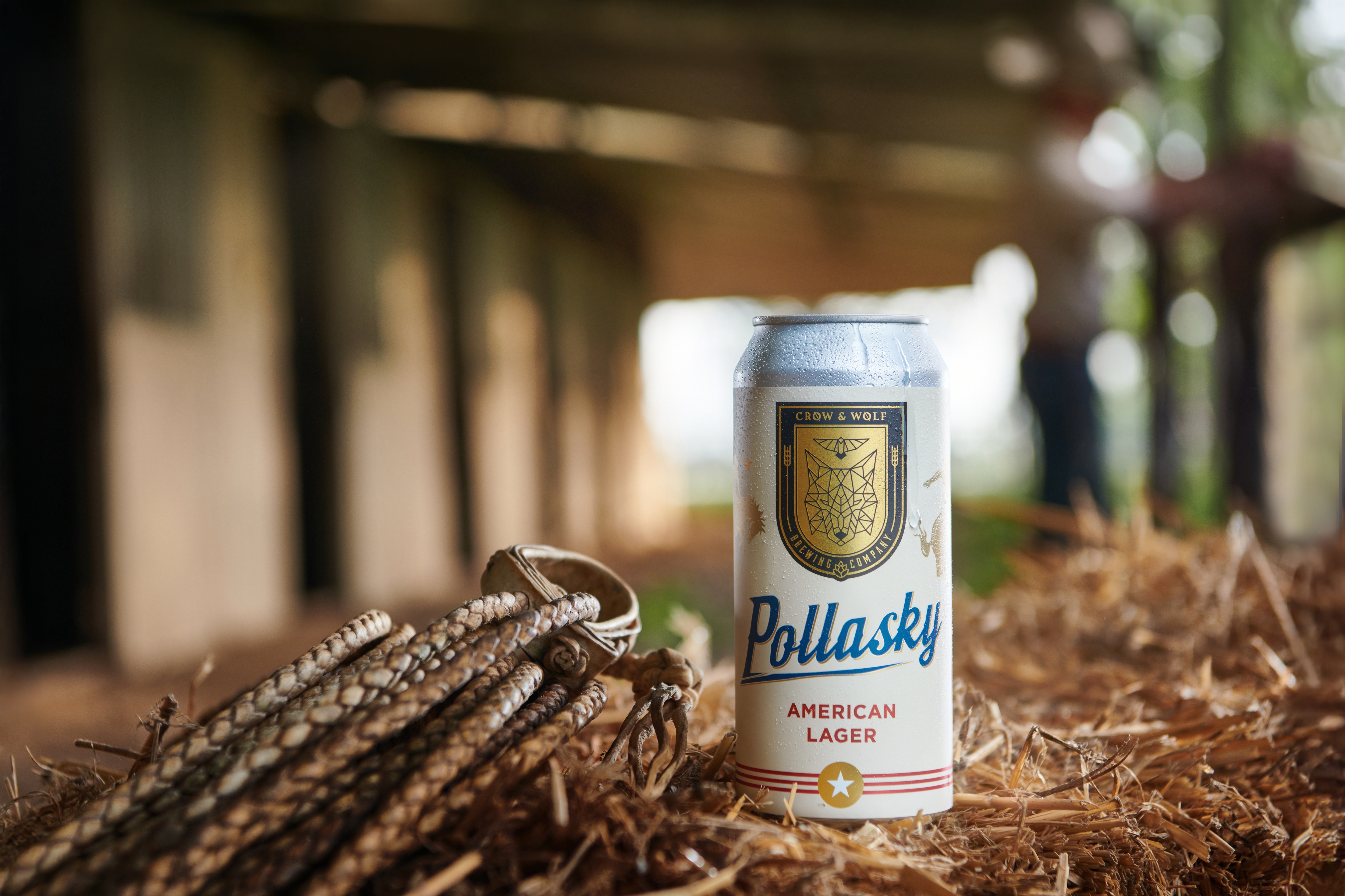 Image or graphic for Pollasky