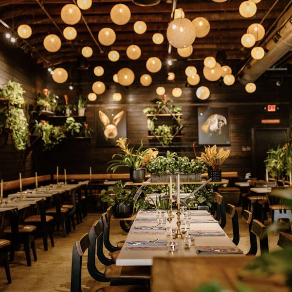 Asheville’s Cultura Welcomes Diners Back to Explore Its Verdant Interiors