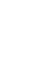 16th Street 6.6 ABV Dancing Gnome Brewery