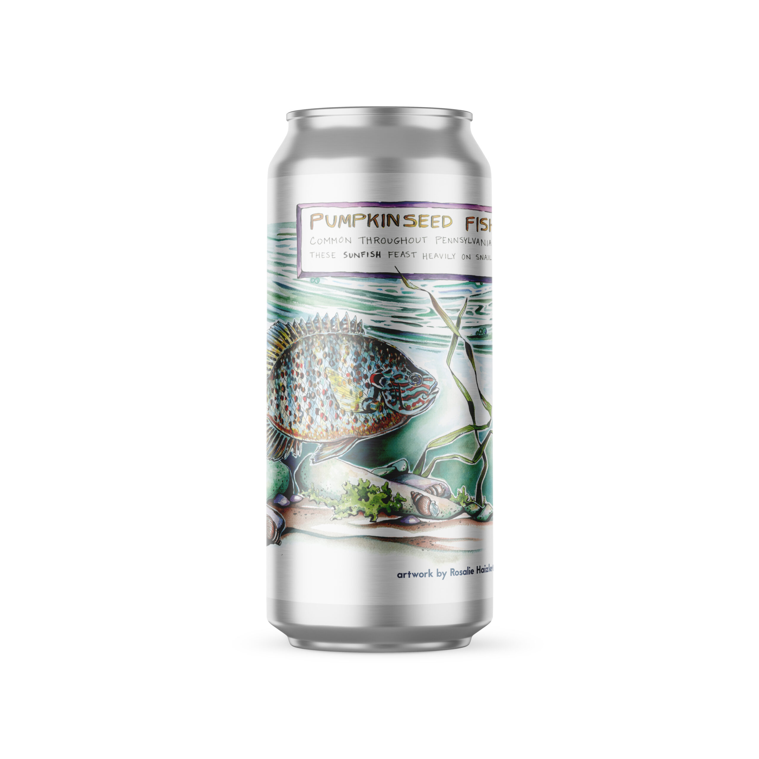 Pumpkin Seed Fish Saison 5.2%