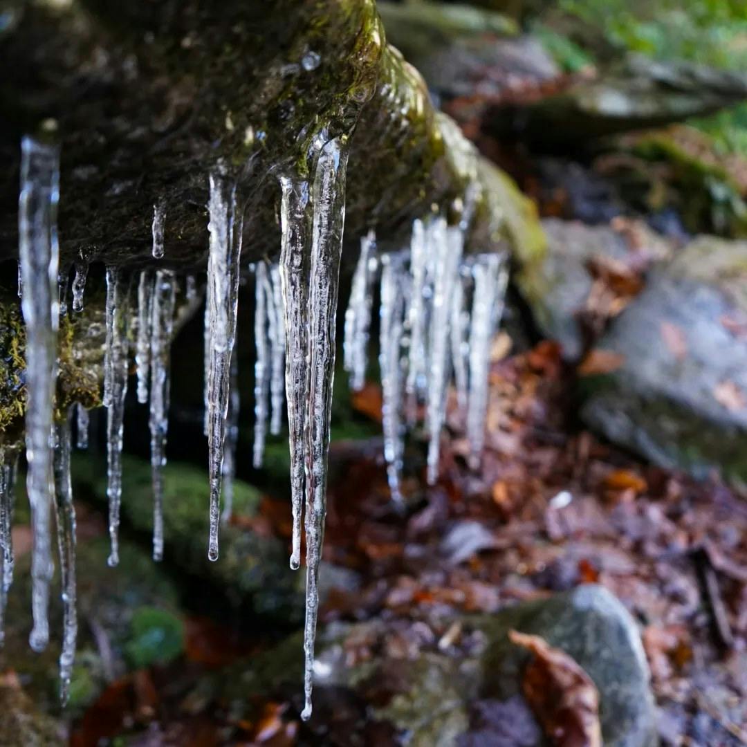 518311556_10171849106070123_2811224906818534316_n