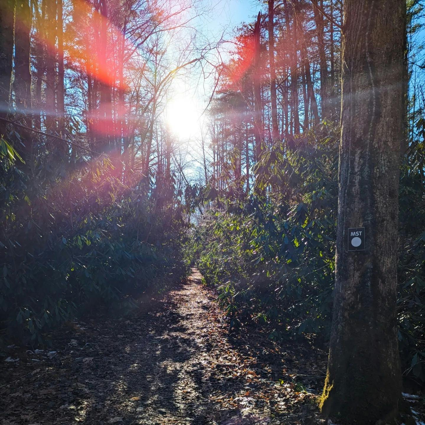 518384110_10171836250910123_8552268678874410140_n