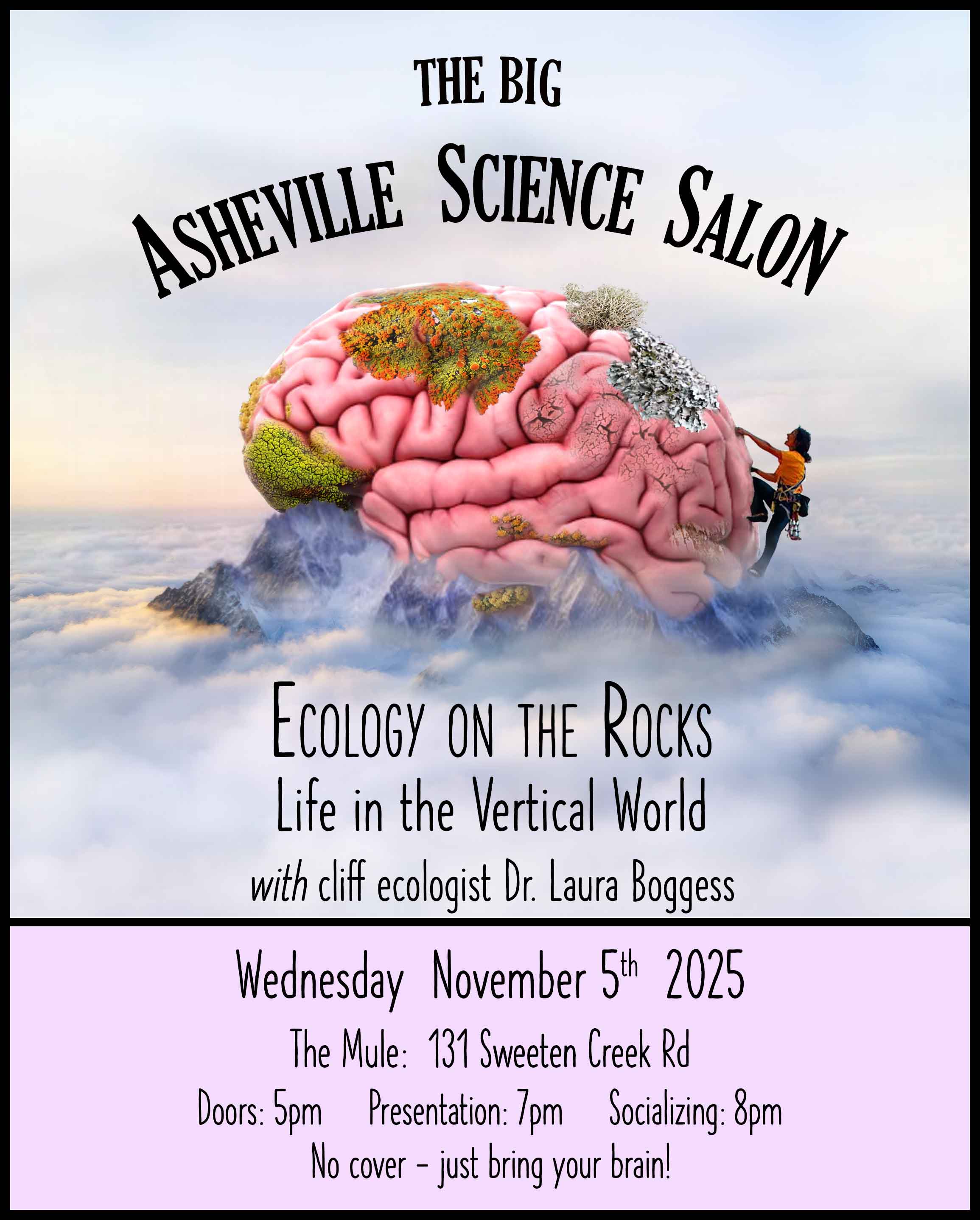 BASS_Nov-25 copy (1)