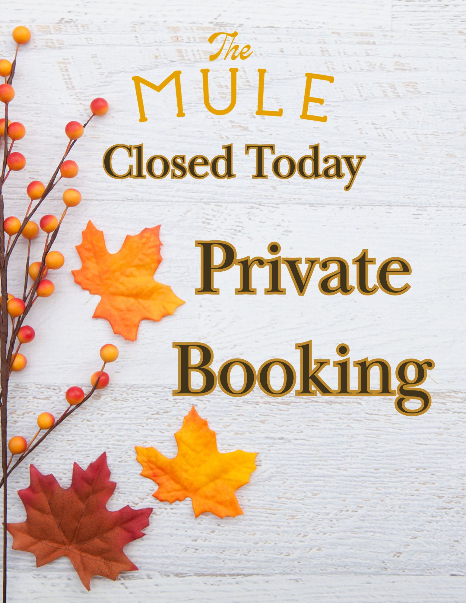 Closed for a Private Event (5)
