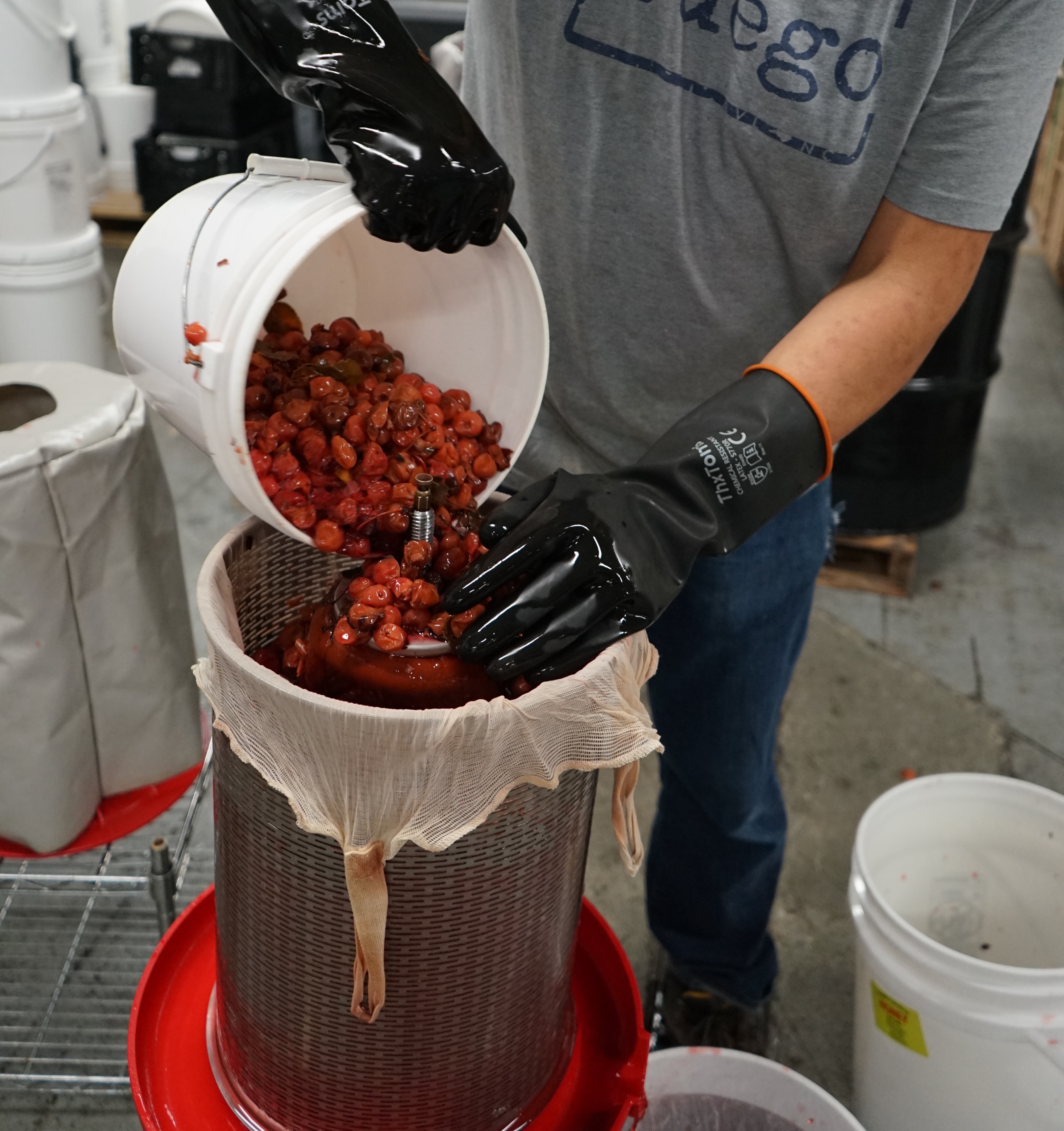 Less than 7 Ingredients: The Return to Simplicity in Craft Beverages