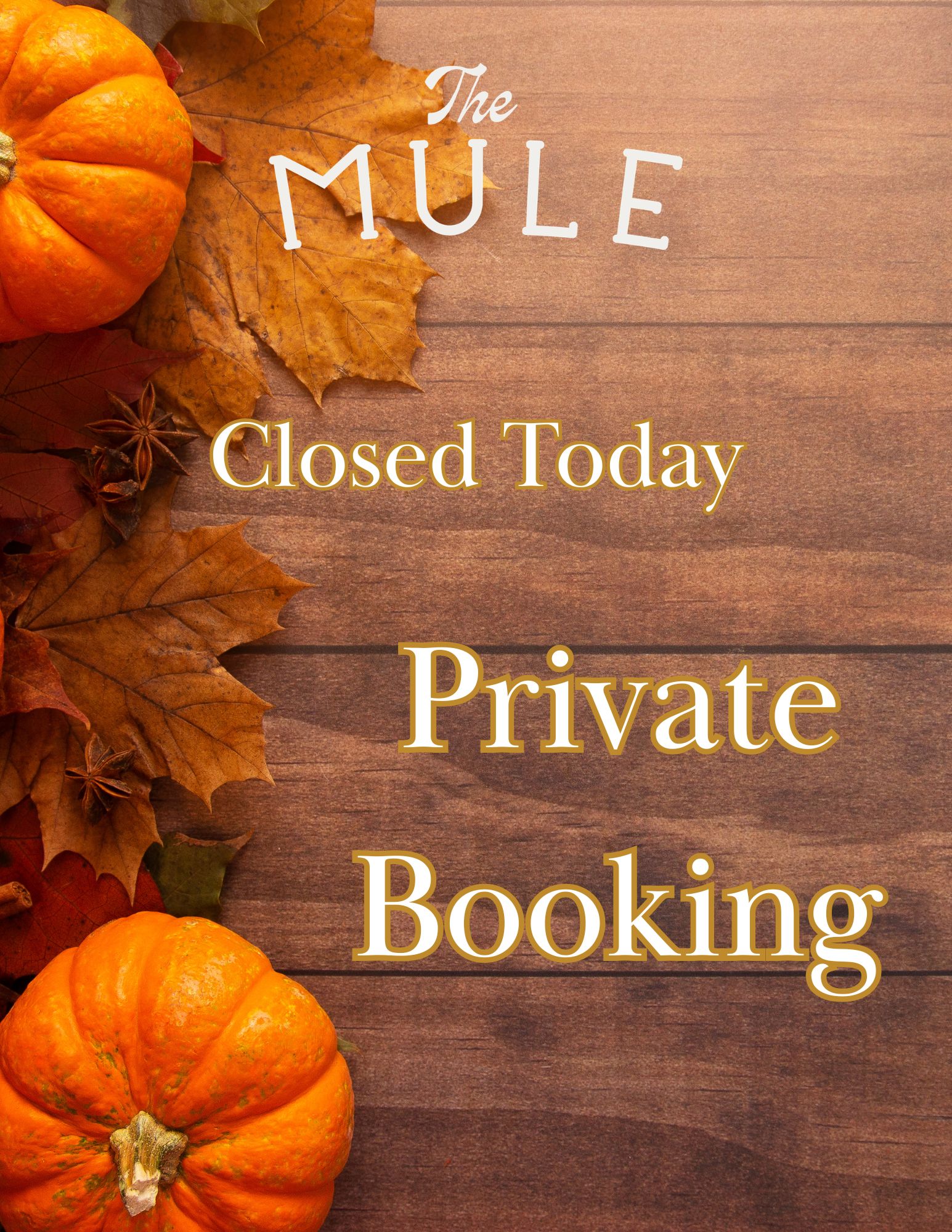 Fall Closed (1)