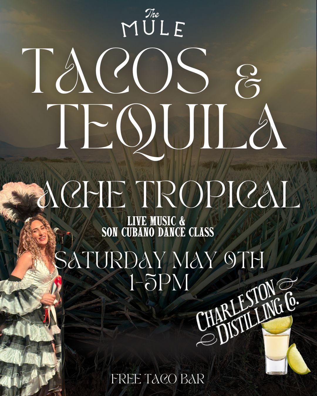 IG 59 Tacos &amp; Tequila