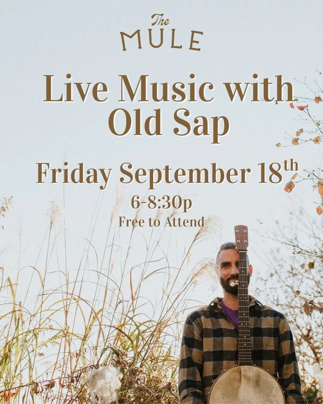 Live Music with Old Sap
