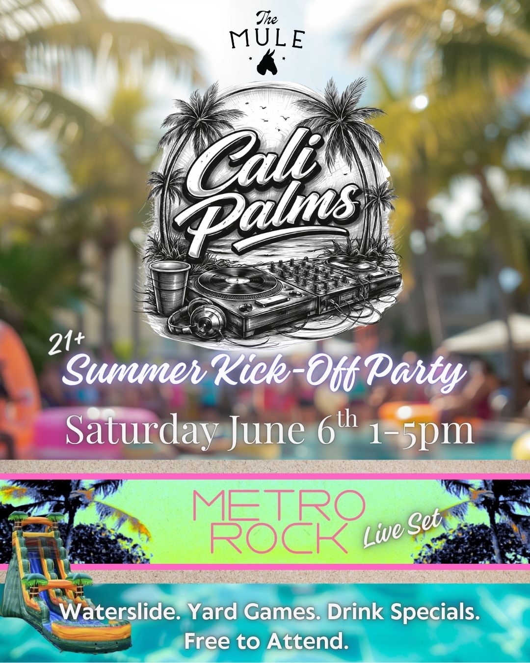 IG Cali Palms (3)