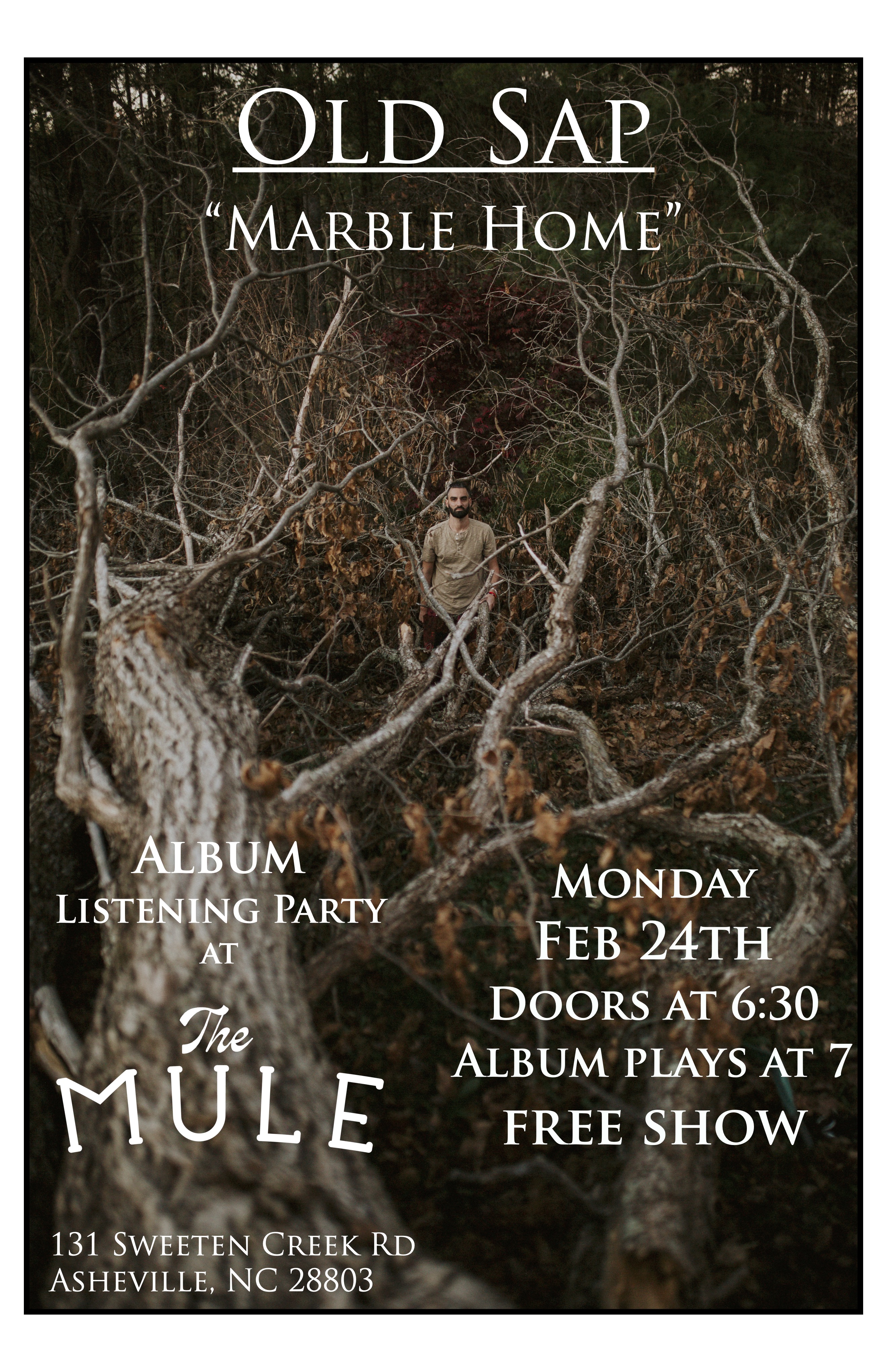 Marble Home - Album listening party - vertical 17x11