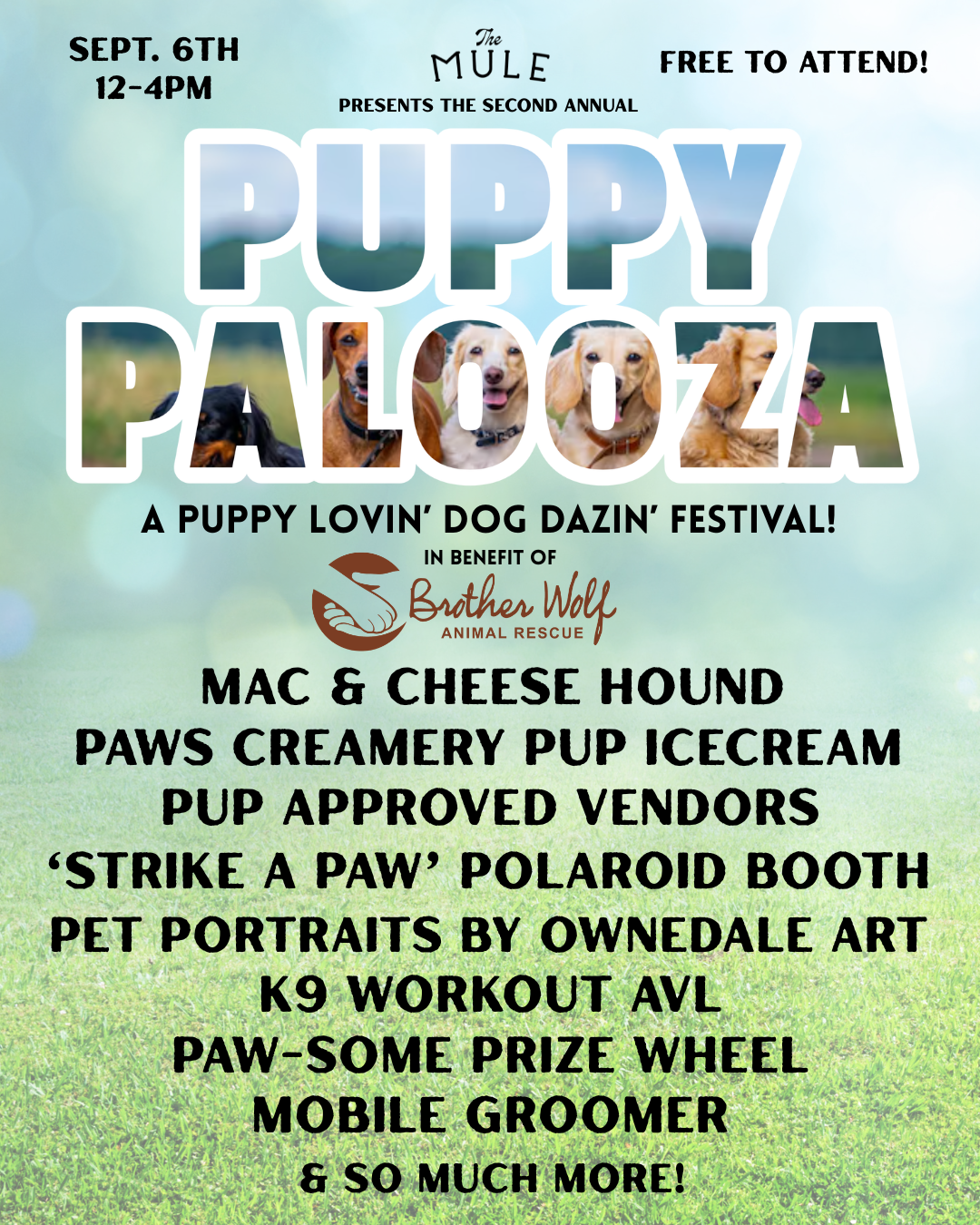 Puppy Palooza (Instagram Post (45))
